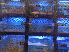 -阿忠食坊大排档·20年老店(万象城店)