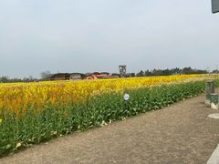 -中国天府农业博览园