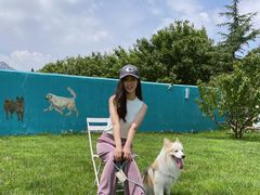 -趣玩宠物乐园寄养训犬训狗游泳池