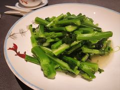 板蓝根-小炳胜(卓悦中心店)
