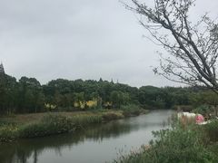 -上海长兴岛郊野公园