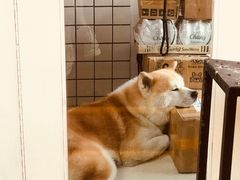 -餐酒吧Com-ing Bar(上海路店)