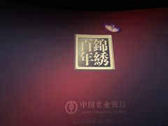 -金逸影城(大悦城IMAX激光店)
