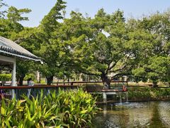 -四海公园(南山区)