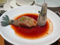 -觀芷隐轩