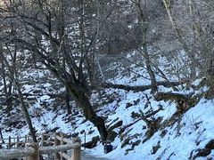 -少华山国家森林公园