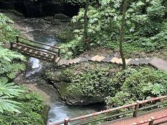 -青城山
