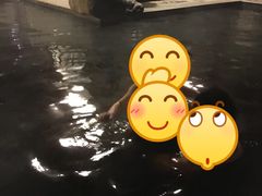 -中铁花水湾温泉酒店(大邑店)
