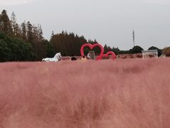 -嘉北郊野公园