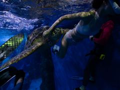 -成都浩海立方海洋公园