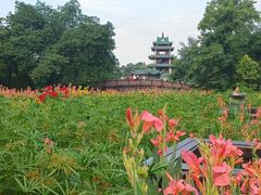 -高尔山公园