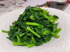 清炒豆苗-北京厨房(SKP店)