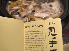 -滇野云南野生菌餐厅(陕西南路店)