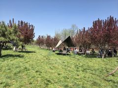 -爪吧宠物乐园 (温榆河示范区店)