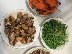 -红树林天天赶海