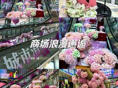 -鹏欣水游城