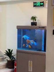 -海涛医疗美容·面部抗衰·注射美鼻