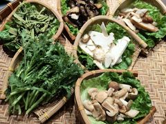 -滇野云南野生菌餐厅(陕西南路店)