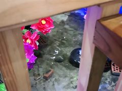 -九田家黑牛烤肉料理(郫都万达檬柏西路店)