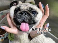 -泰洋动物医院·神经专科·磁共振·CT(天河公园总院)