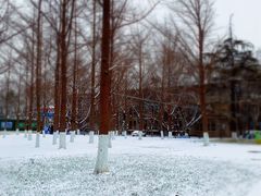 -山东大学(趵突泉校区)