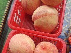 -正宗火盆自助烧烤·烤全羊·柴火鸡(龙泉山店)