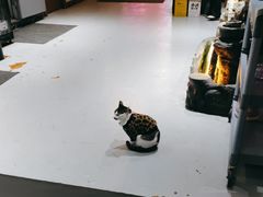 -牛鲜盛齐齐哈尔烤肉(曹路店)