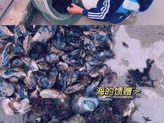 -东极岛景区
