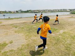 -春花秋色城市公园