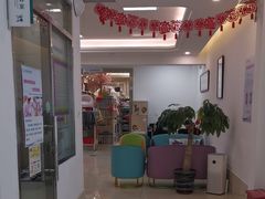 -北京观赏动物医院·24小时大型综合·猫专科·异宠专科