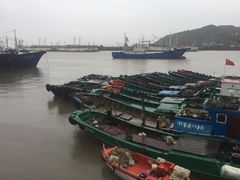 -沈家门渔港