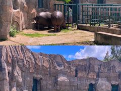 -哈尔滨北方森林动物园