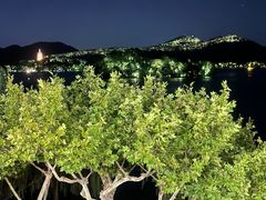 -楼外楼(西湖景区孤山路店)