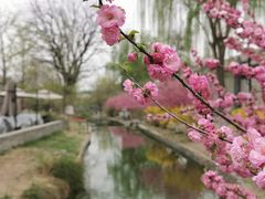 -三里河公园