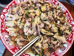 -食德喜·阳山鸡王食研基地