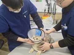 -爱侣宠医·鹦鹉专科·小型哺乳类·异宠专科(灵石路店)