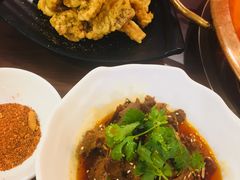 -舌尖记忆重庆火锅(悉尼店)
