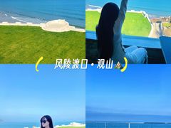 -风陵渡口RESERVE·观山