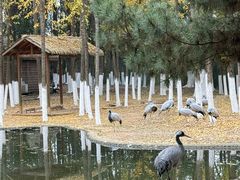 -艾溪湖湿地公园