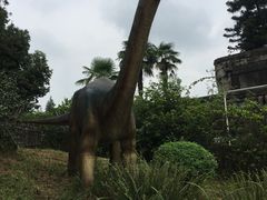 -自贡恐龙博物馆