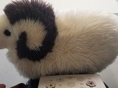 -引领英语·成人口语·雅思托福