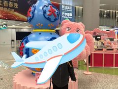 -杭州萧山国际机场
