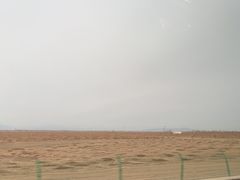 -金塔沙漠胡杨林景区