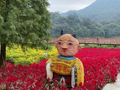 -广州市石门国家森林公园