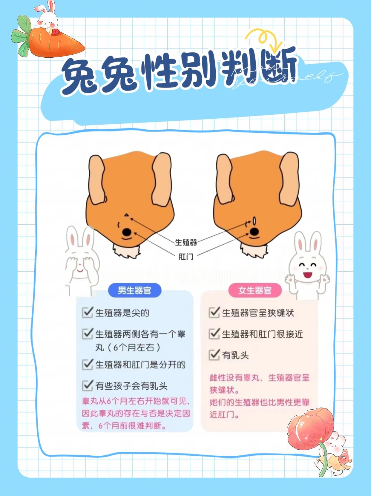 怎么超度小兔子-怎么超度饿鬼的方法 怎么超度小兔子-怎么超度饿鬼的方法