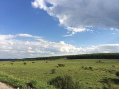 塞罕坝国家森林公园-塞罕坝国家级自然保护区