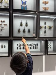 -酷嗒动物文化乐园(cutezoo西溪乐天城店)