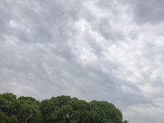 -安飞驰驾校·学车连锁(金高店)