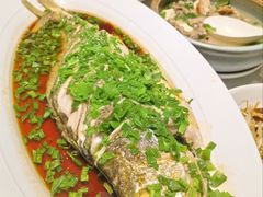 葱香大黄花-小桃红·东北菜·春饼烤鸭(南阳湖街店)