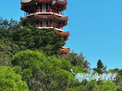 -深圳仙湖植物园